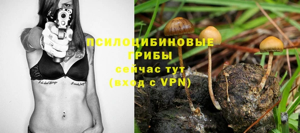 каннабис Няндома